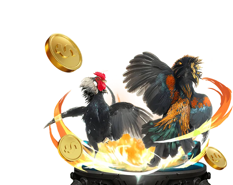 Đá Gà Trực Tiếp 89win casino